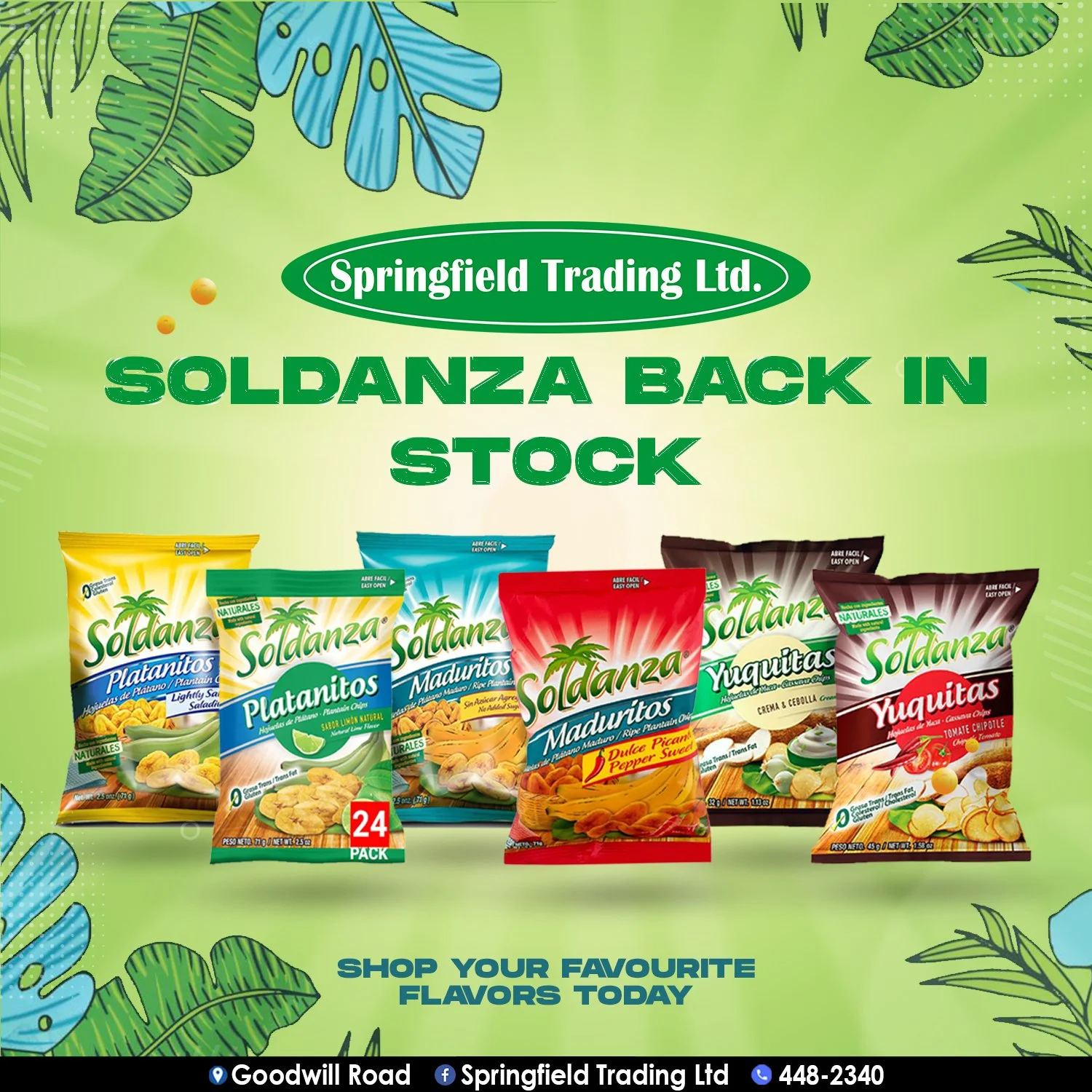 Advertisement for Soldanza snack products with various flavored bags on a green leafy background, promoting restock and encouraging shopping for favorite flavors.