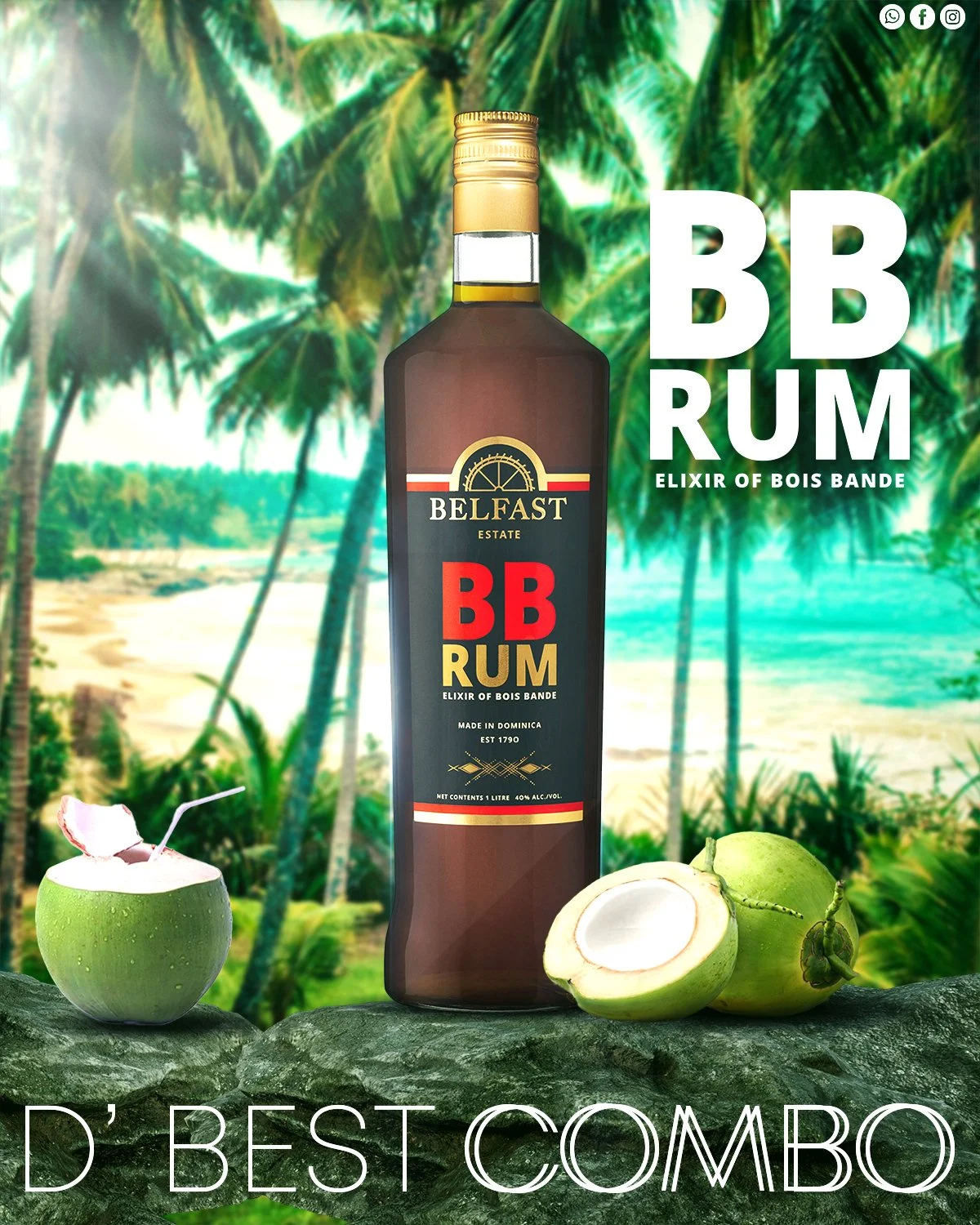 BBRUM COCONUT.jpg