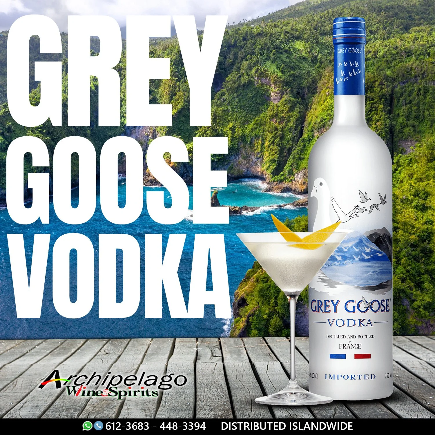 grey goose 2.jpg