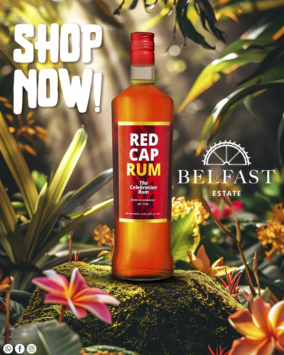BELFAST REDCAP.jpg