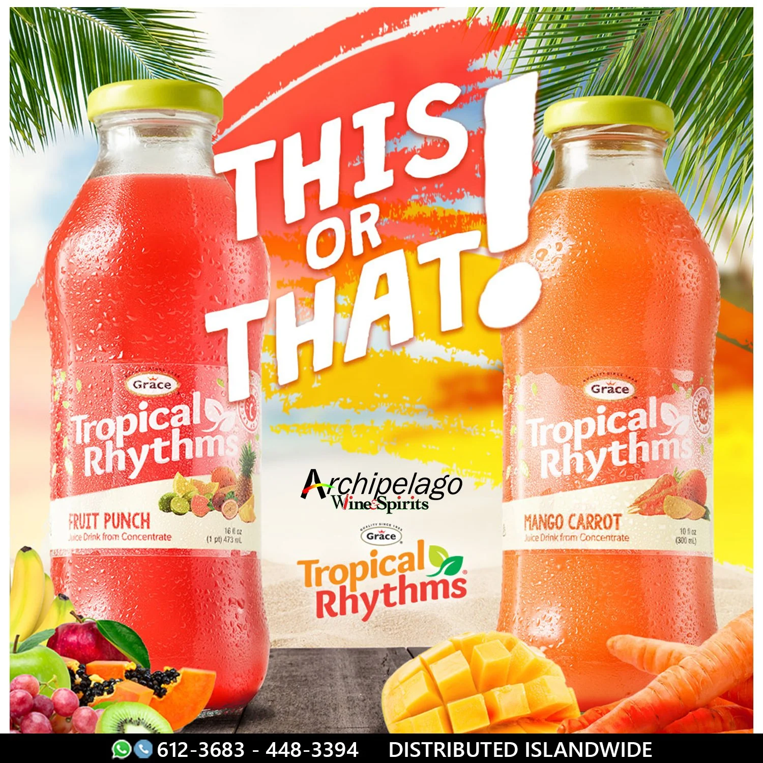 Tropical Rhythm2.jpg