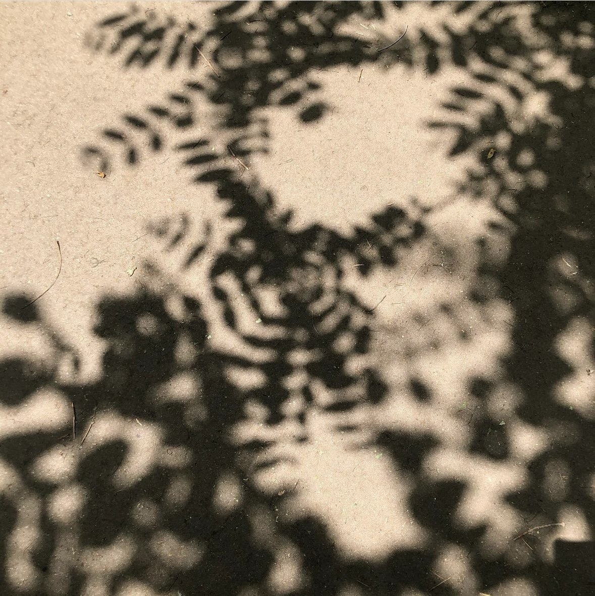 Friend to the Shadows