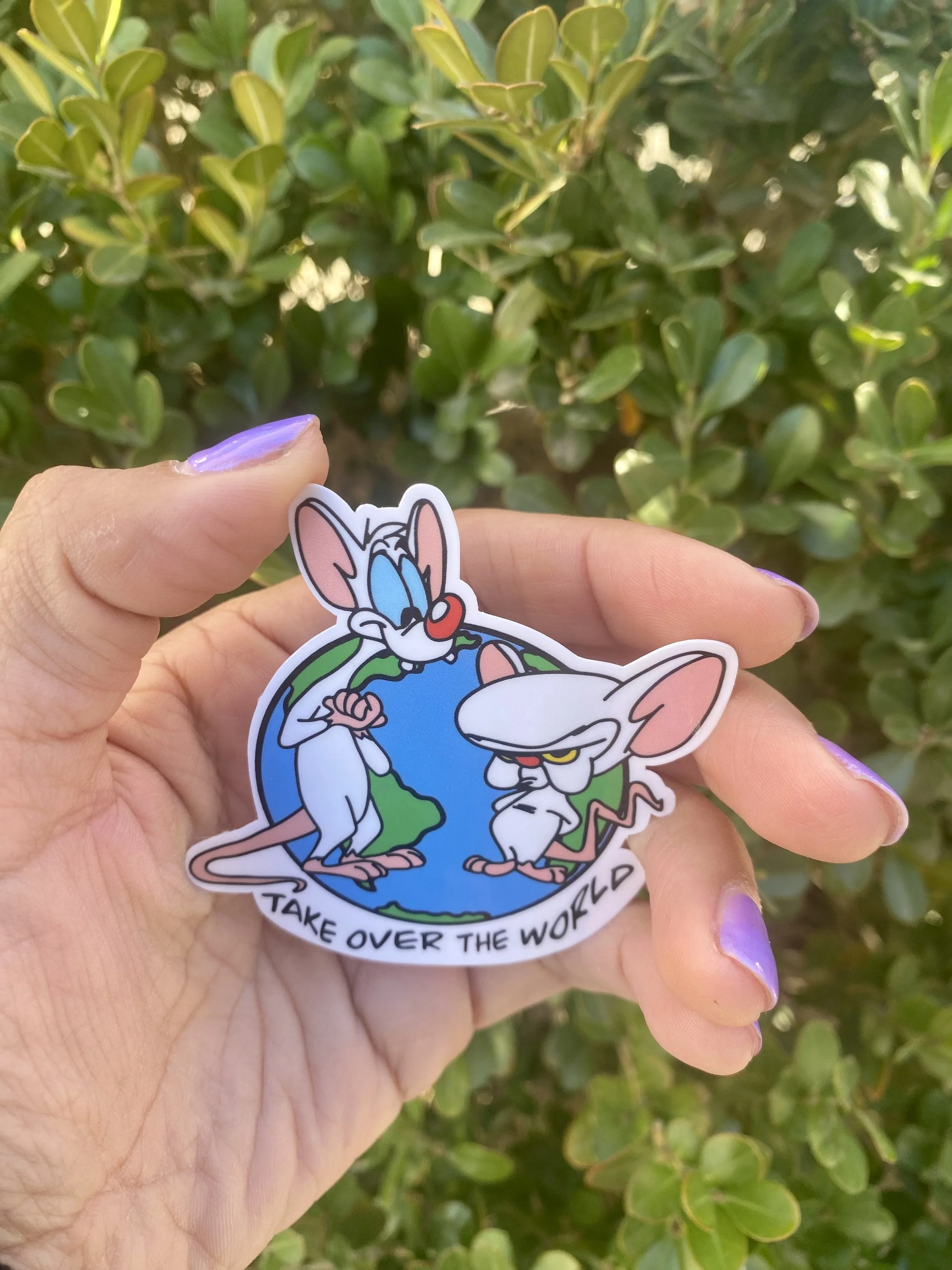 Pinky and The Brain