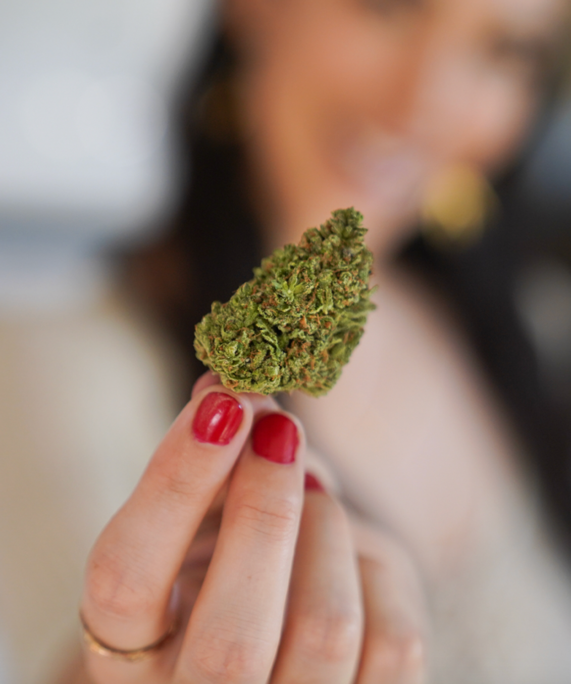 Cannabis bud model photo 