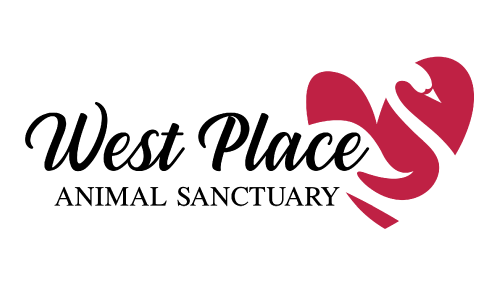 west-place.png