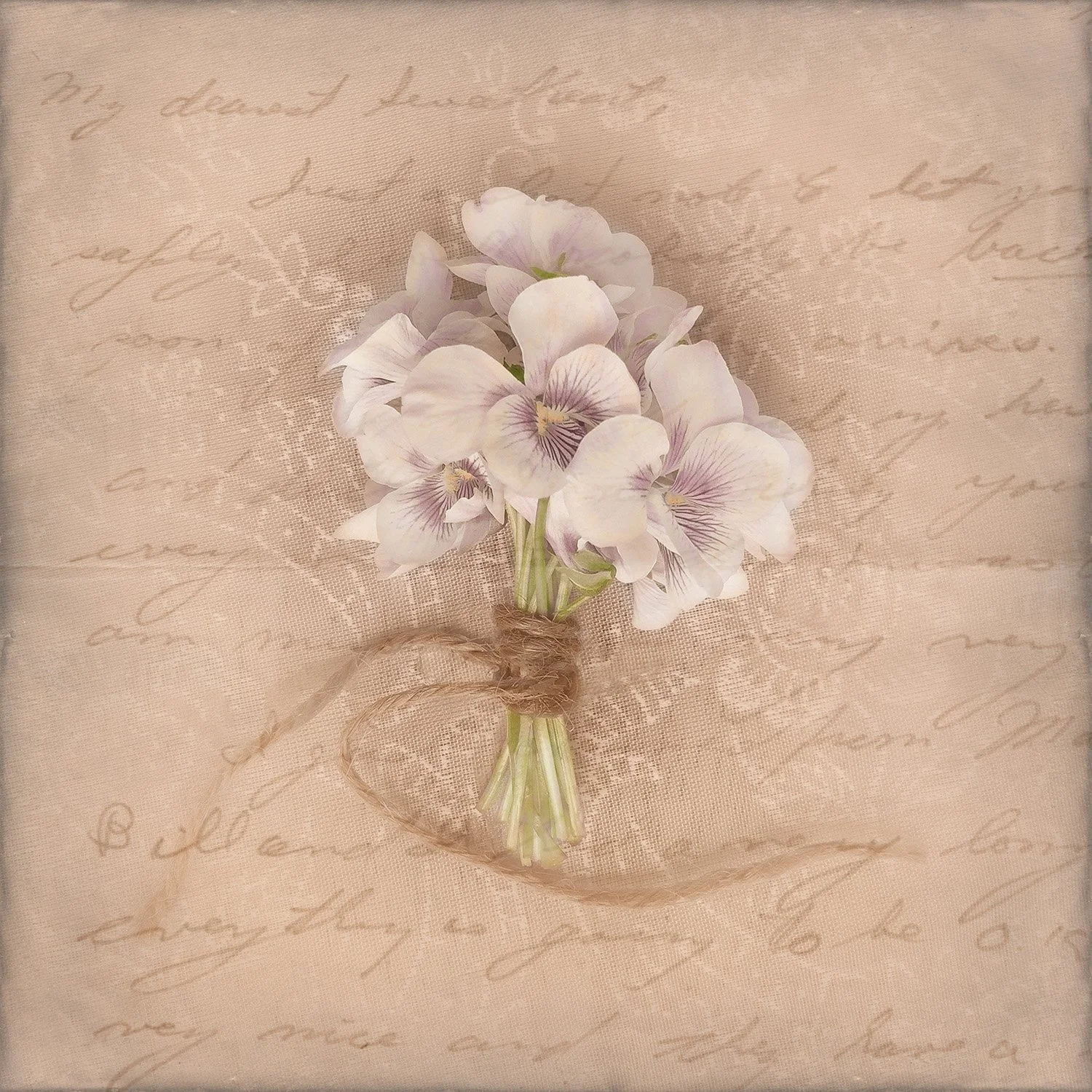 My Dearest Sweetheart, 8" x 8", hand colored photograph
