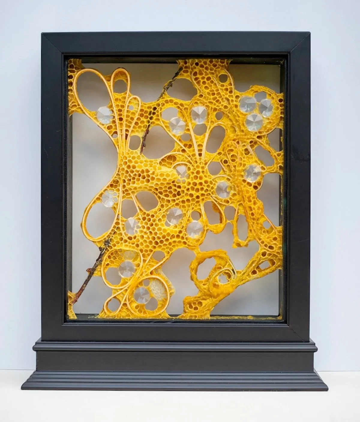 Shared Geometry, 20" x 16" x 4", mixed media with honeybee co-construction