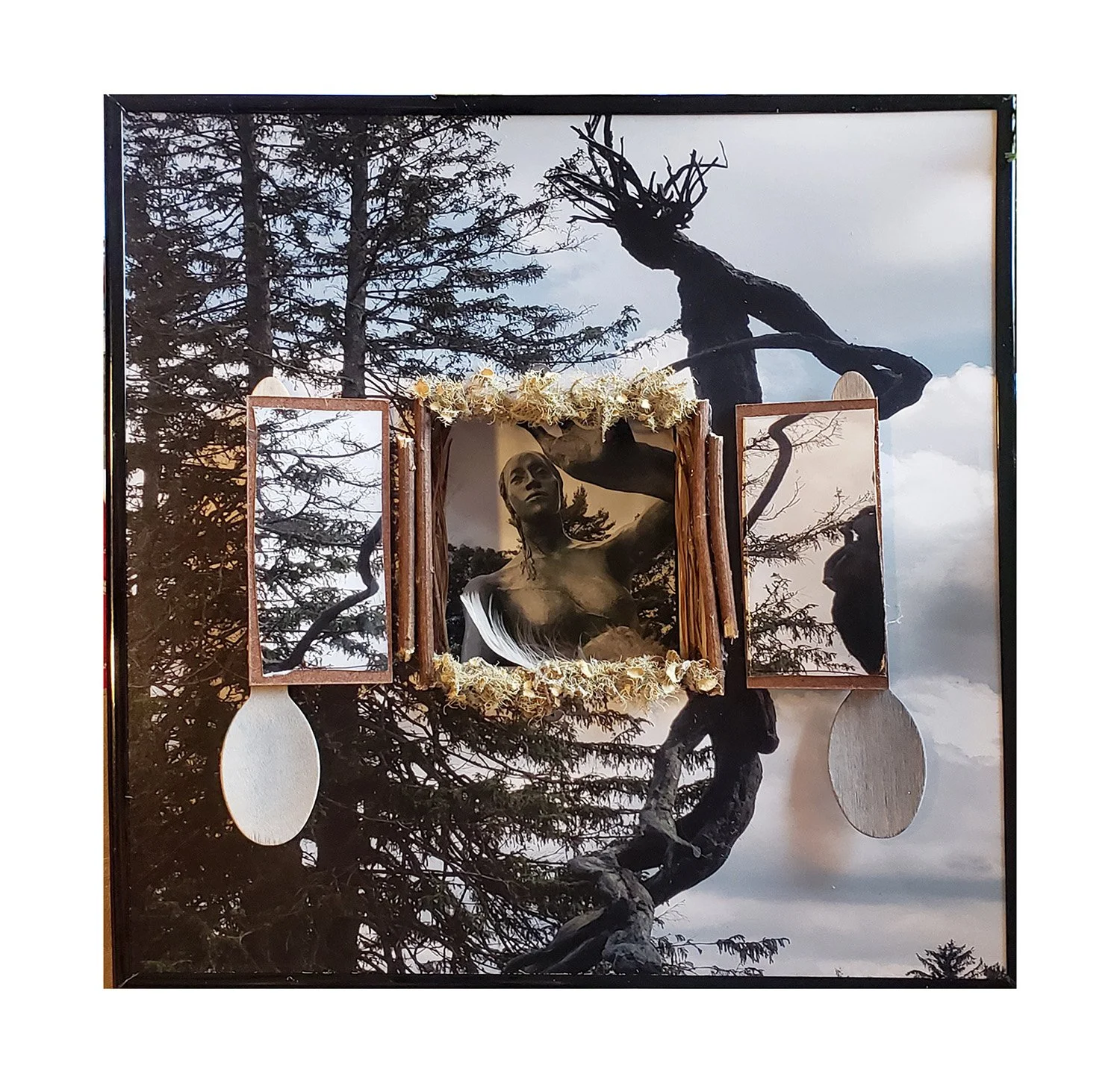 Sticks & Seeds, 12"x12", photo assemblage with natural materials