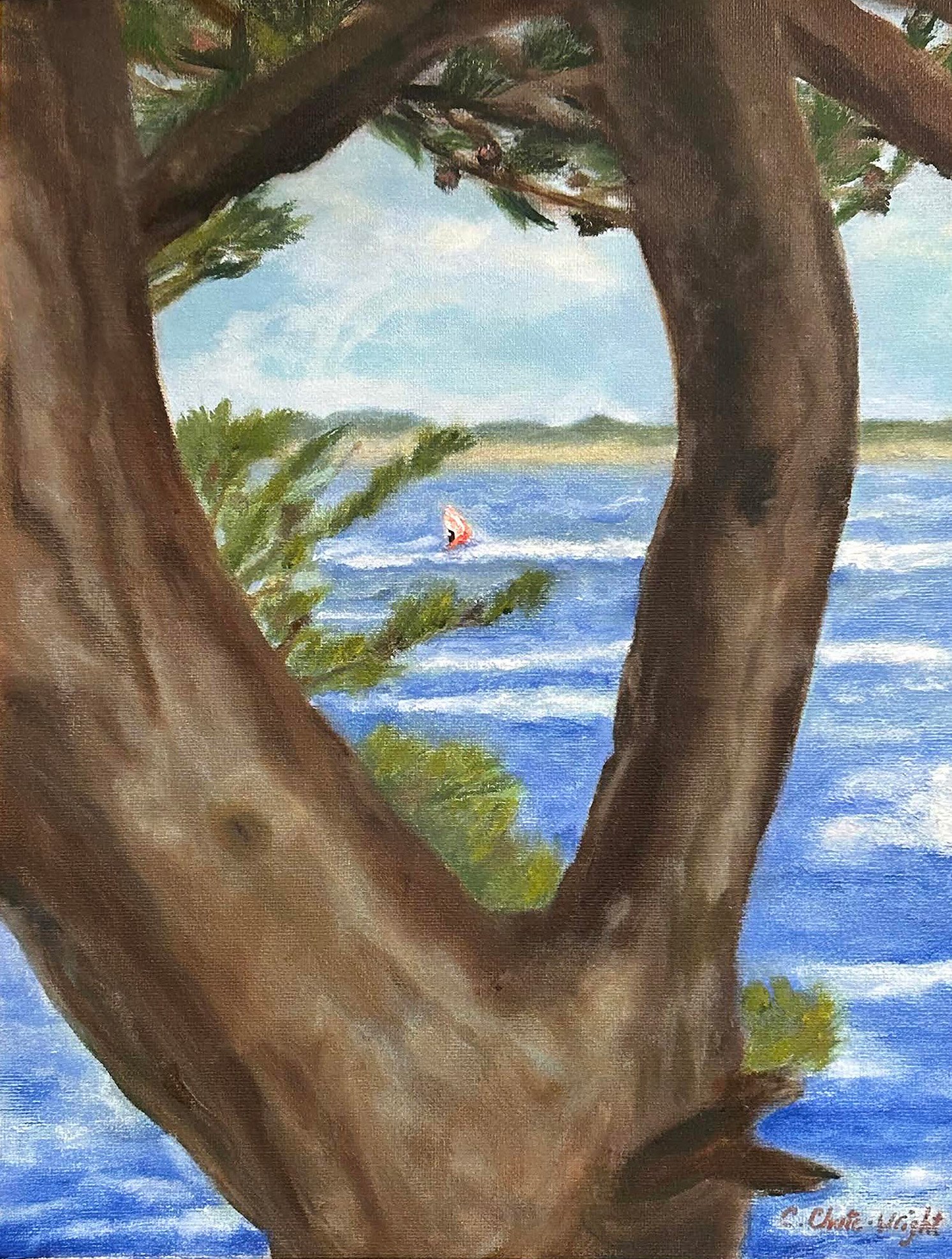 Windsurfer, 11" x 14", oil