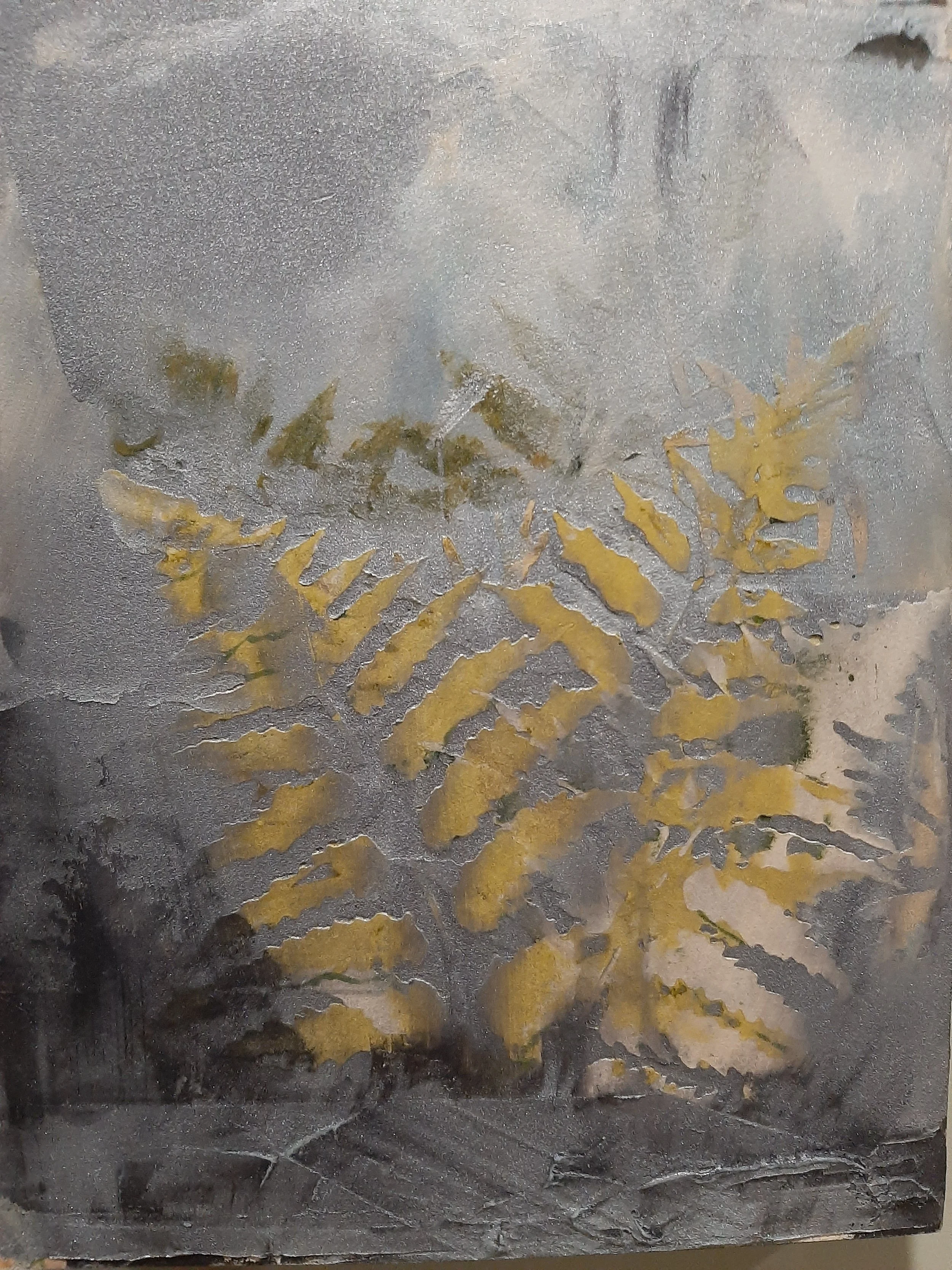 Ferns, Raquel Decosta