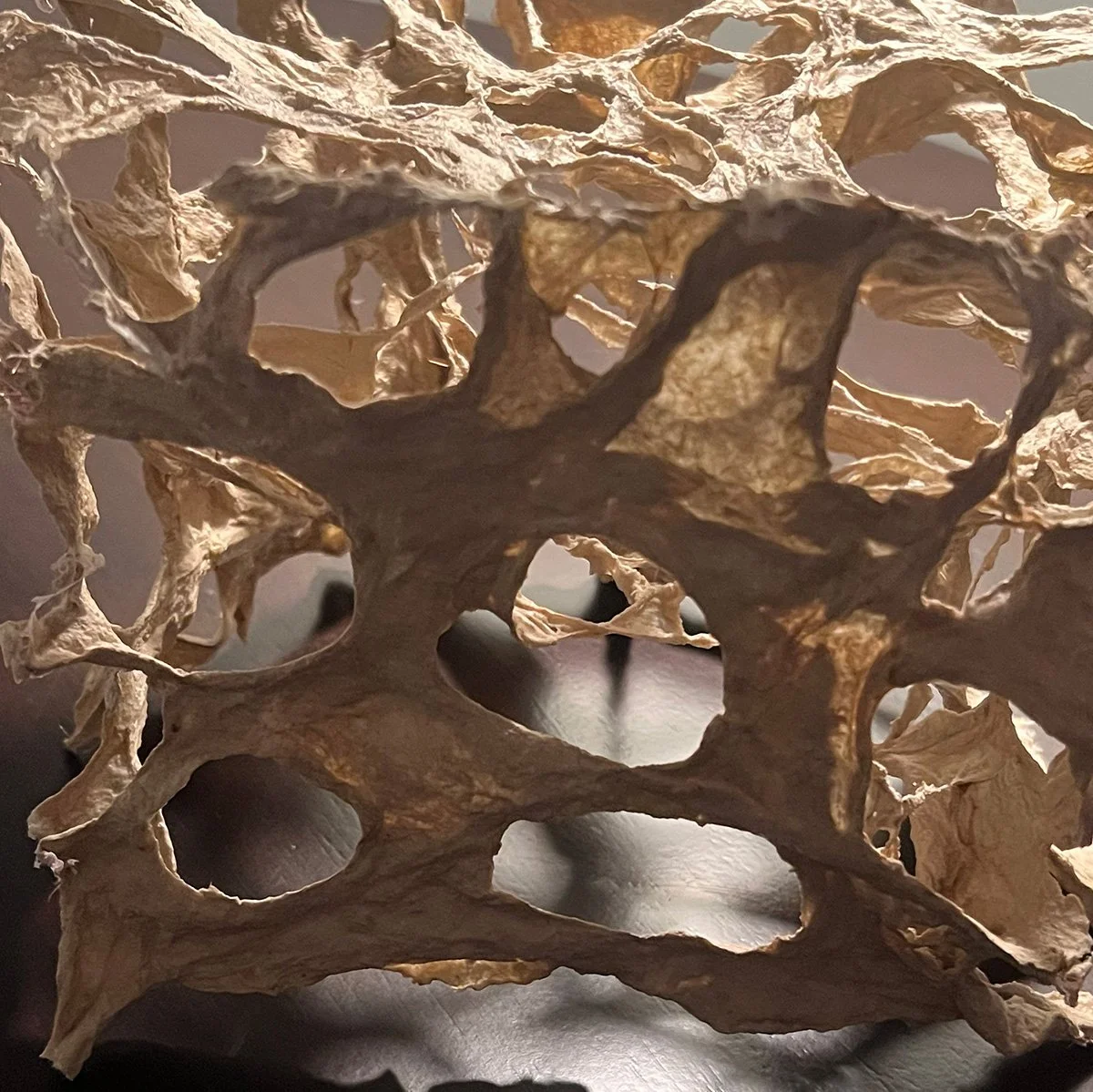 Silent Labyrinth (detail), handmade paper