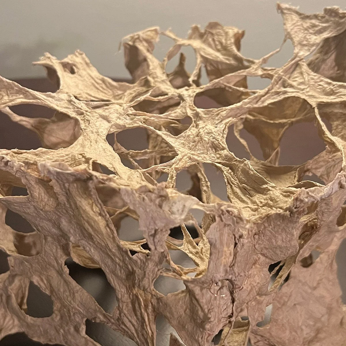 Silent Labyrinth (detail), handmade paper