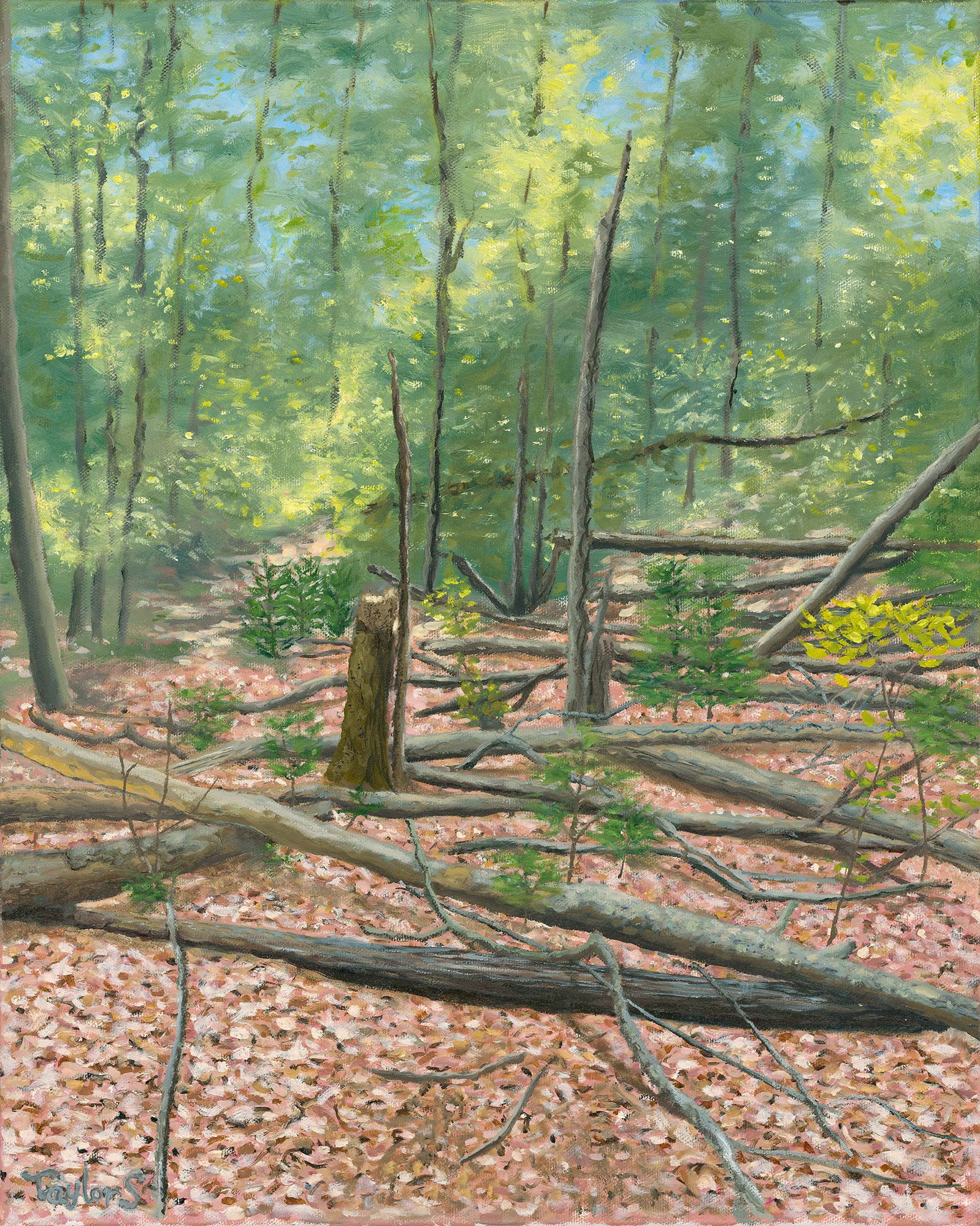 Dighton Rock State Park, 16" x 20", oil