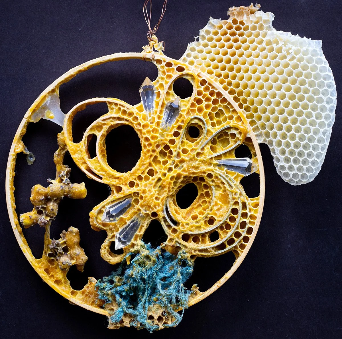 Biotic Cycle,11" x 11" x 1.25", mixed media with honeybee co-construction