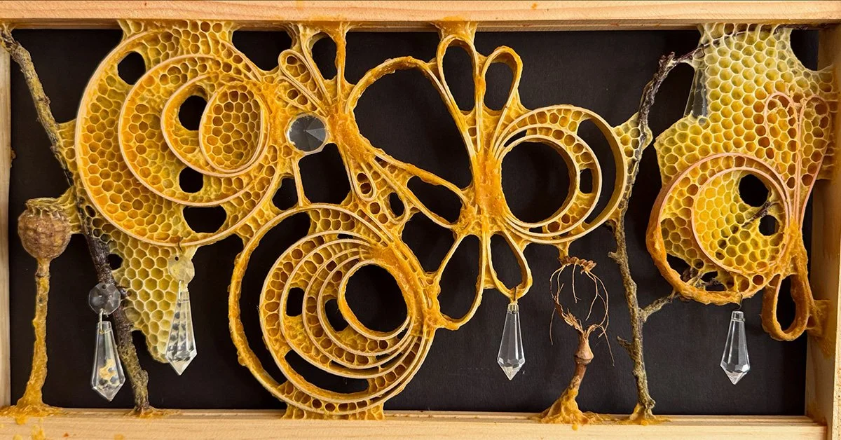 Poppy Pods, 14" x 24" x 4" , mixed media with honeybee co-construction