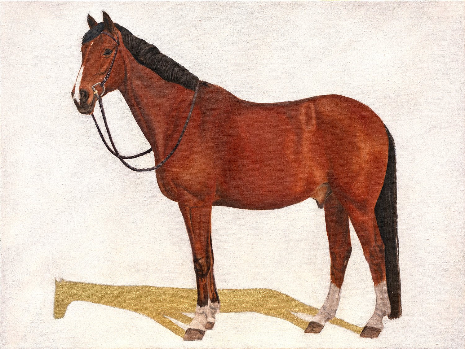 Portrait of Umbra, 18" x 24", oil on Belgian linen