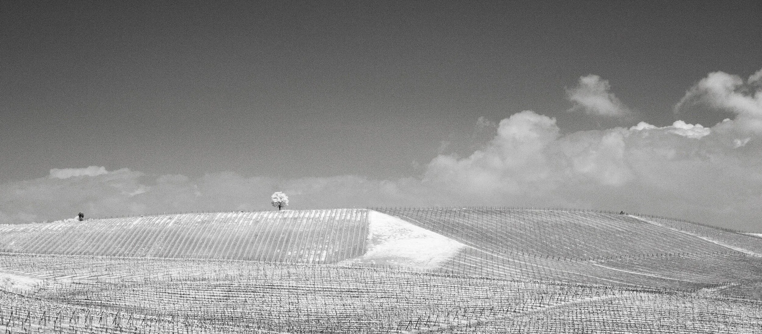 SERENA PARENTE CHARLEBOIS   Fine Art Photography