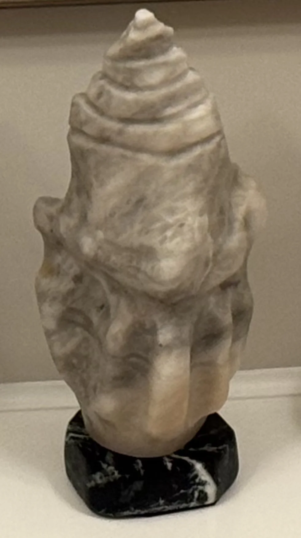 Seashell, 15" H x 7" W x 6" D, honey alabaster mounted on a black soapstone base