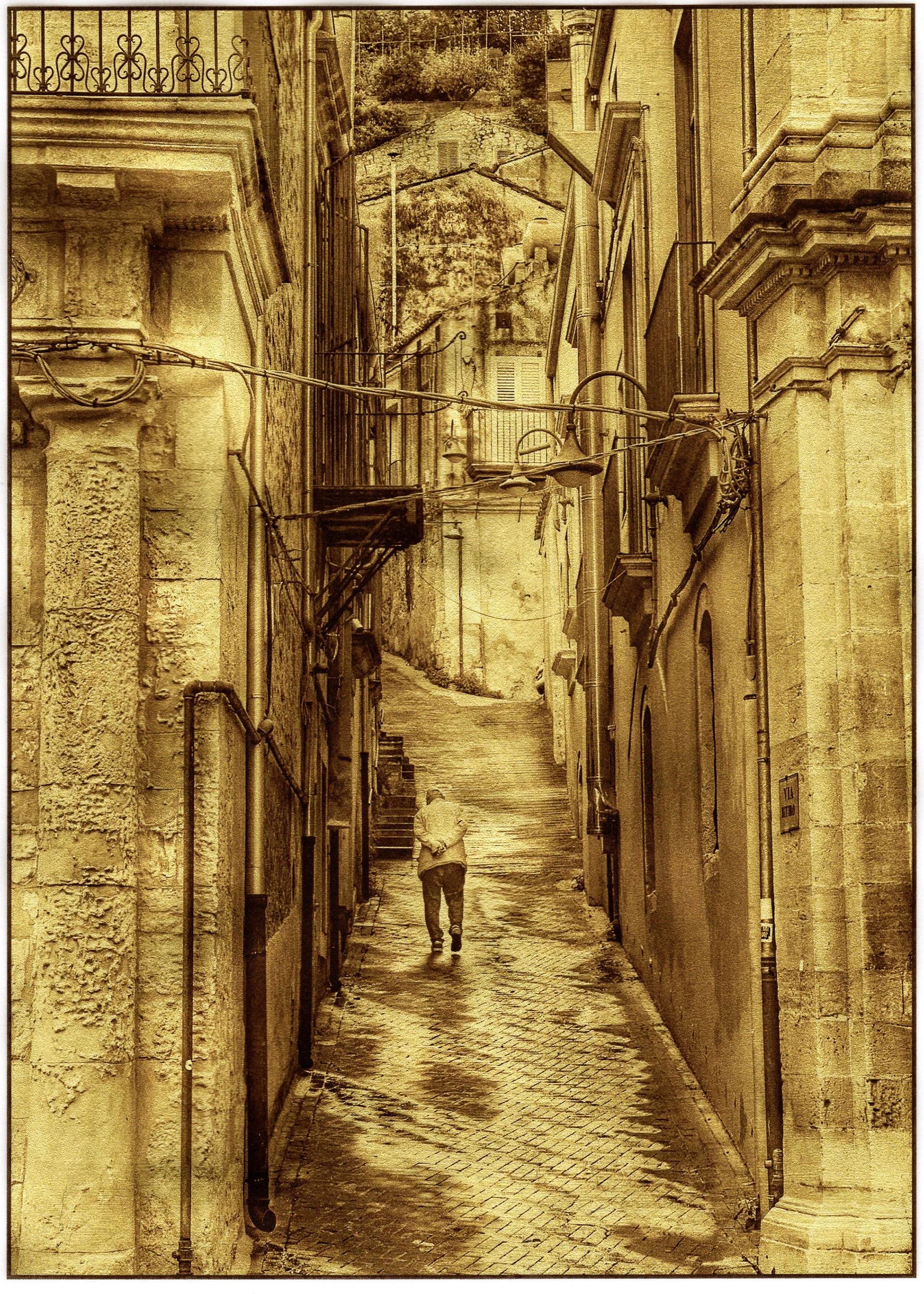  Serena Parente Charlebois   
 The Journey Home in The Golden Hour   
15" x 13" 
Photography - Alternative Process The Journey Home is printed on archival cotton vellum and gilded with 23K gold leaf, its surface catching and holding light as though i