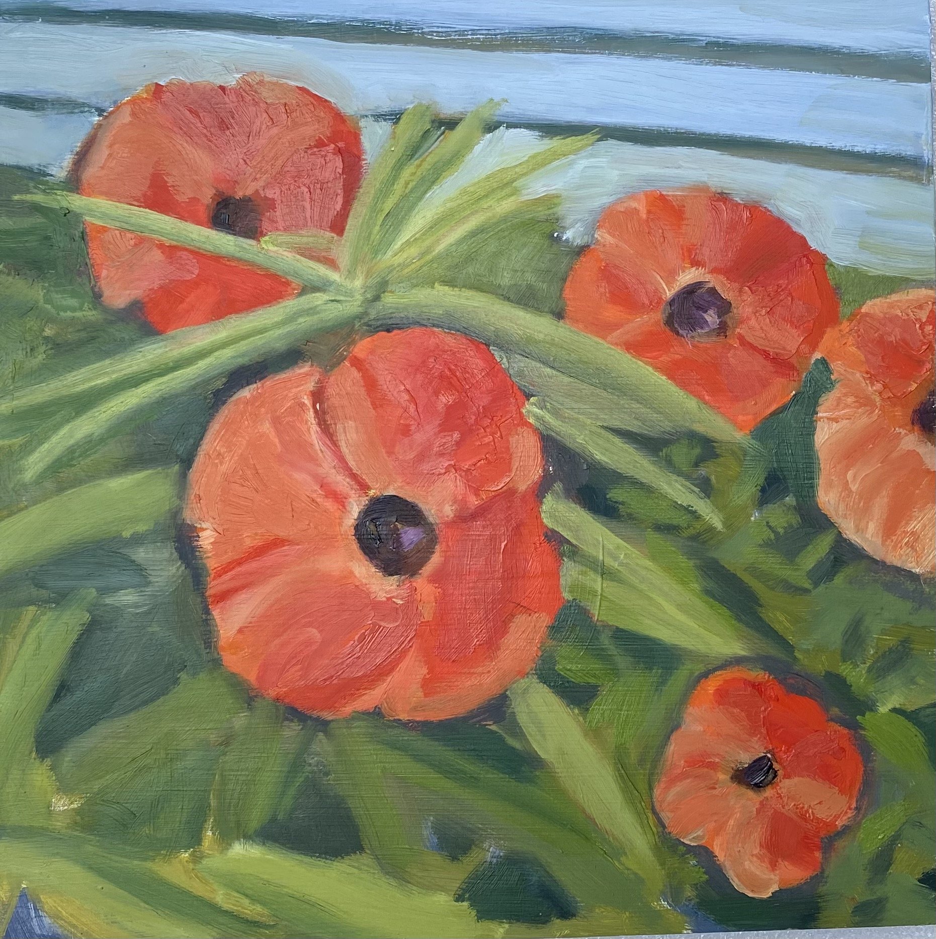 Poppies, Judy Melanson