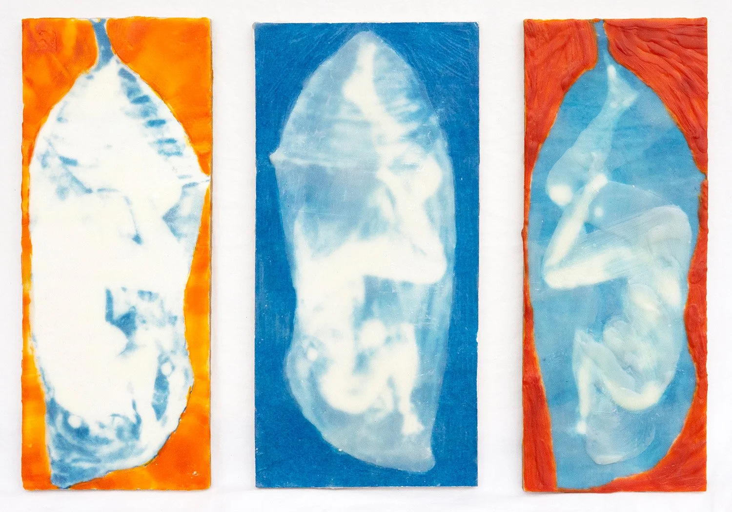 Coccoons II, 13.5 x 10", cyanotype and encaustic on panel
