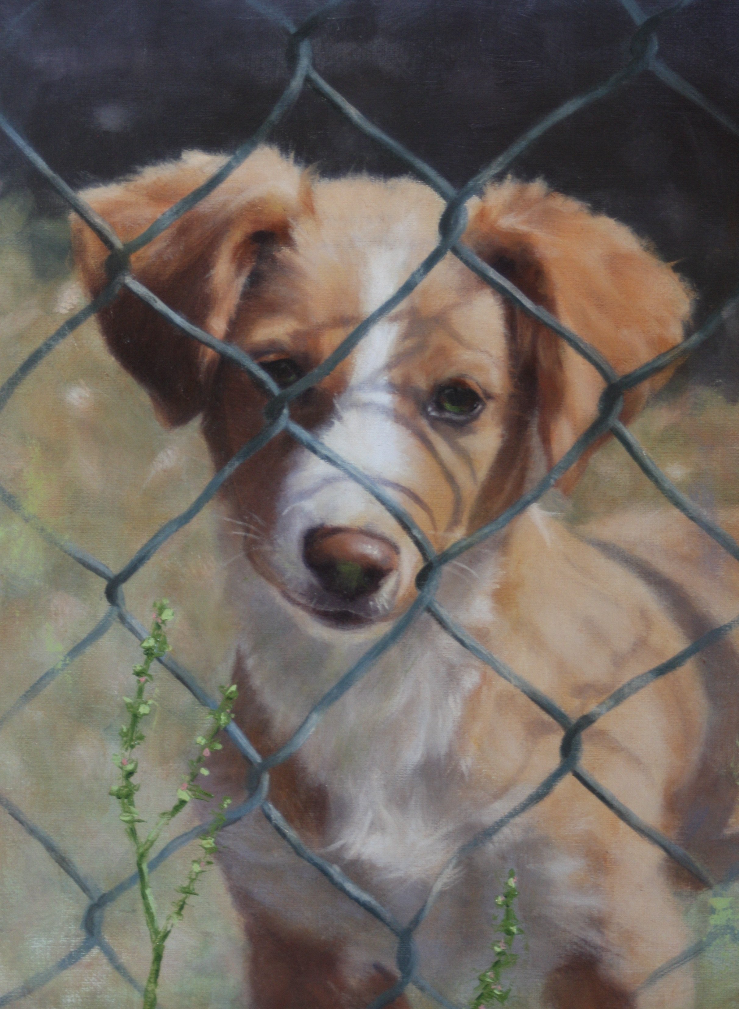 Catherine Hafer The Grass is Always Greener Oil 8" x 11" $2,000