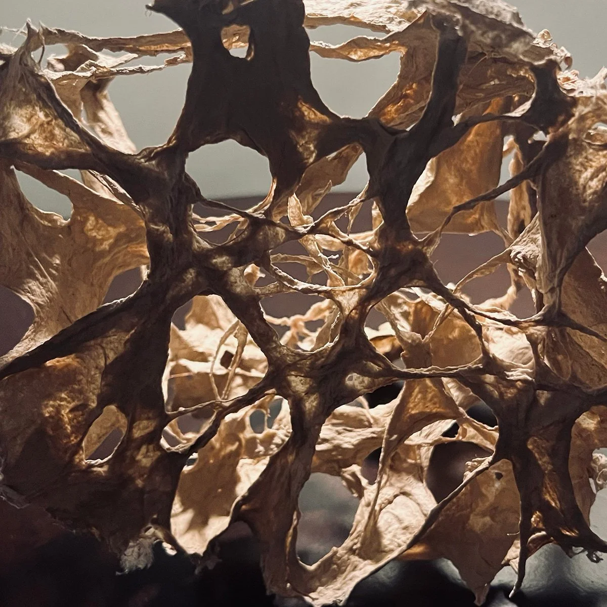 Silent Labyrinth (detail), handmade paper