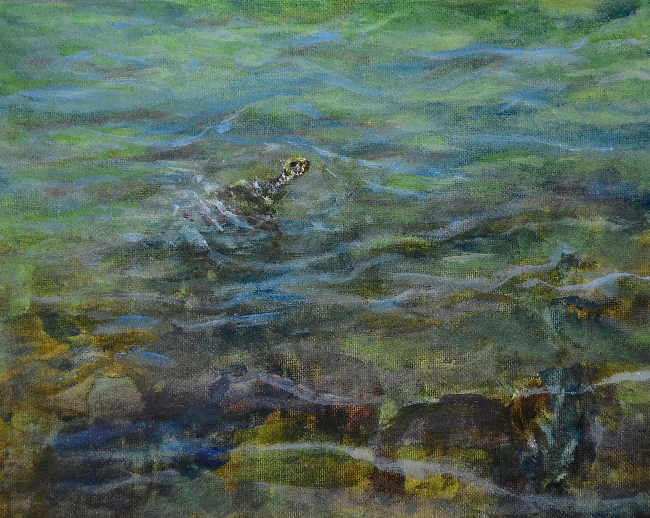 CELESTE CHUTE-WRIGHT   Watercolor & Oil