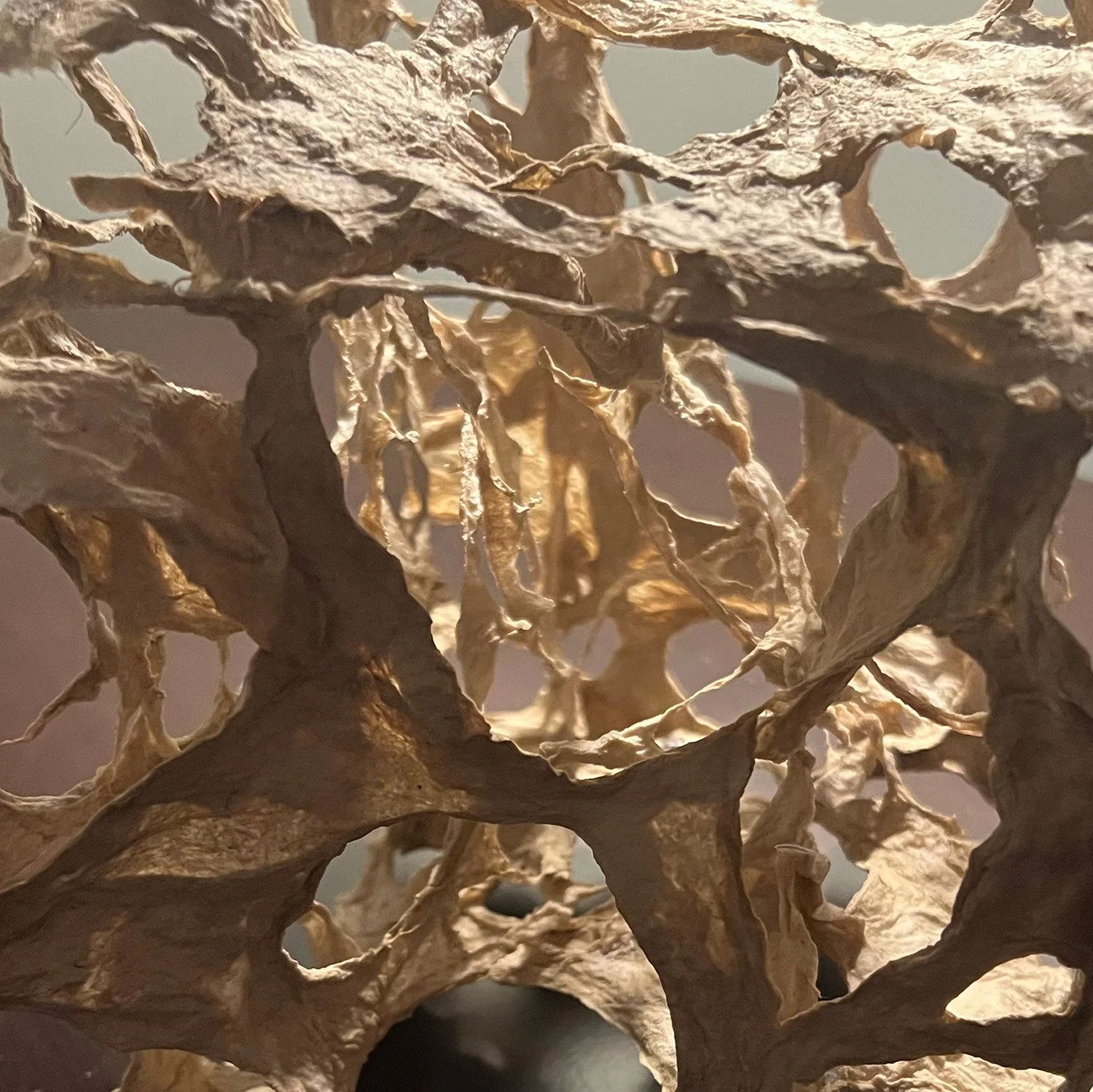 AZIN MAJOONI   Handmade Paper & Mixed Media