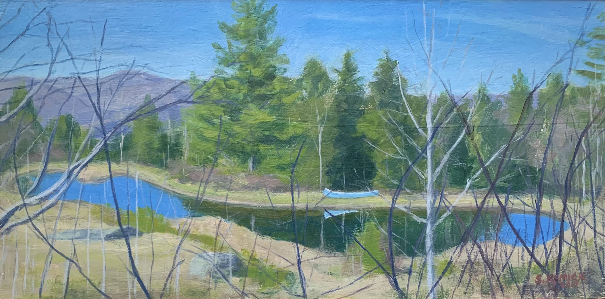 Vermont Pond, Stephen Remick