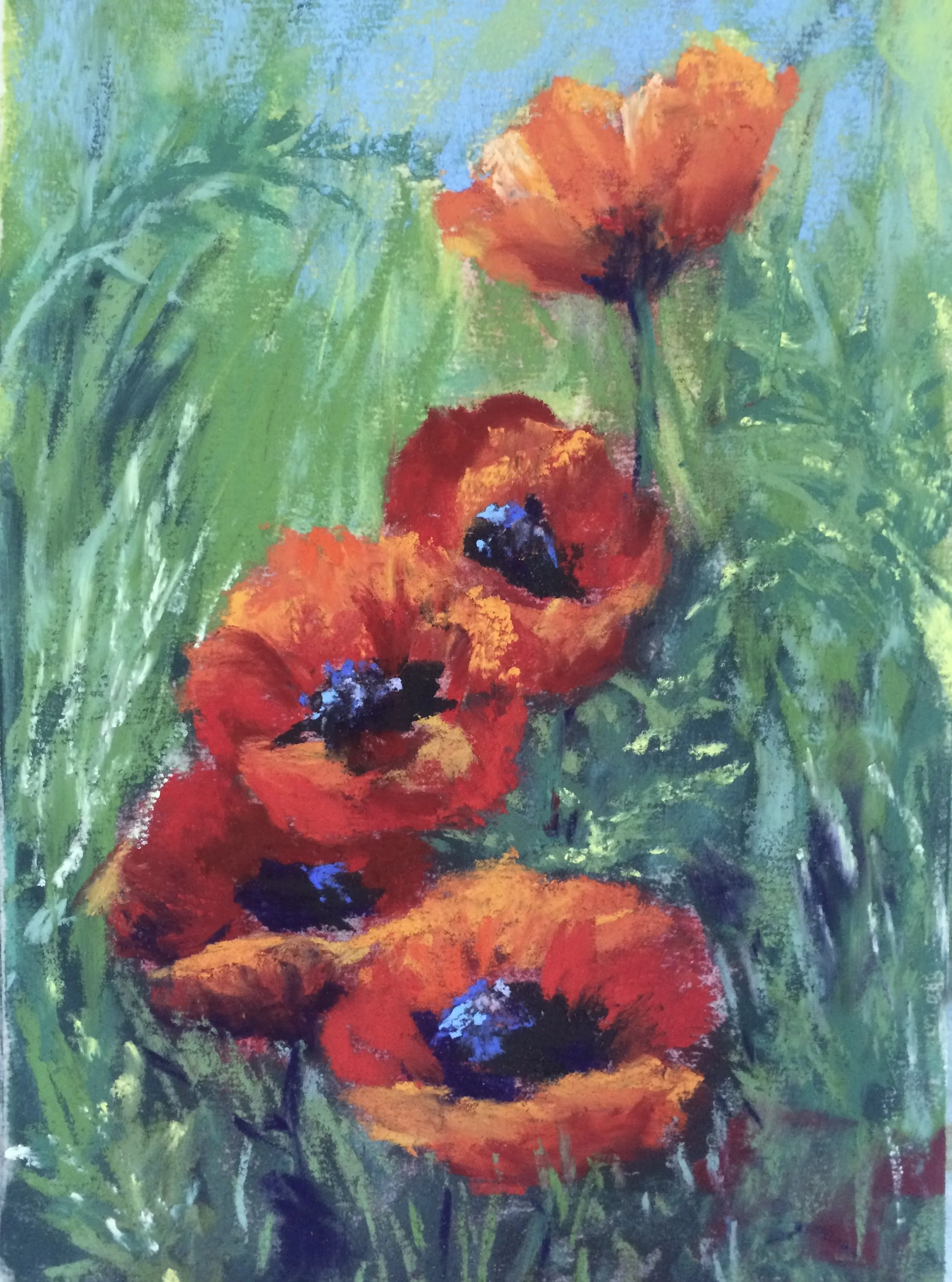Orange Poppies, Donna English