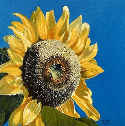 Sunflower, Marianne Boucher