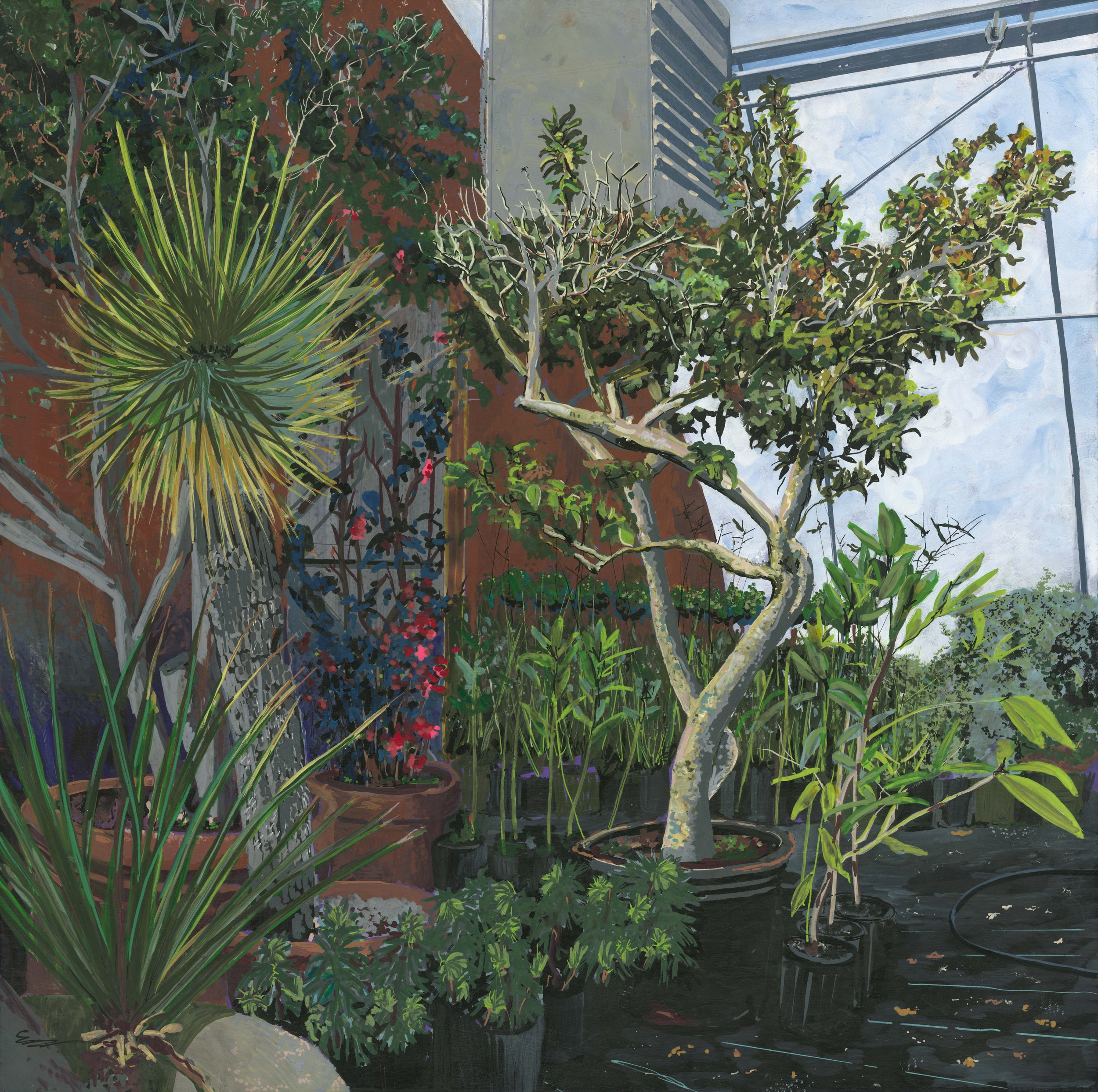 Erica Driver Camellia, Sean Conway's Greenhouse 16" x 16" Acrylic Paint Marker And Ink Wash On Panel $1,200