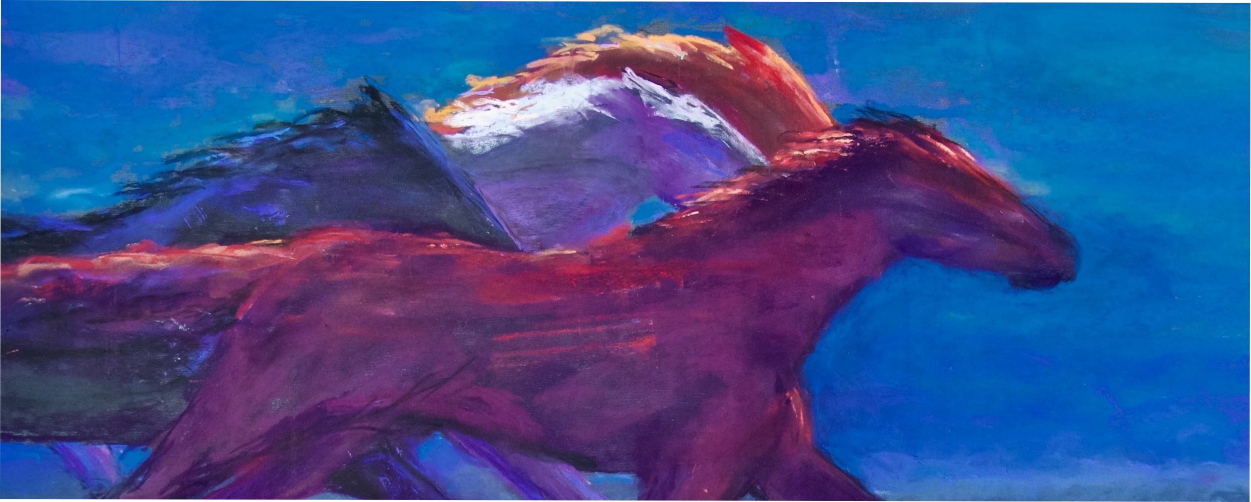  Nancy Whitin   
 Racing the Wind   
12 " x 27.5" 
Pastel  
