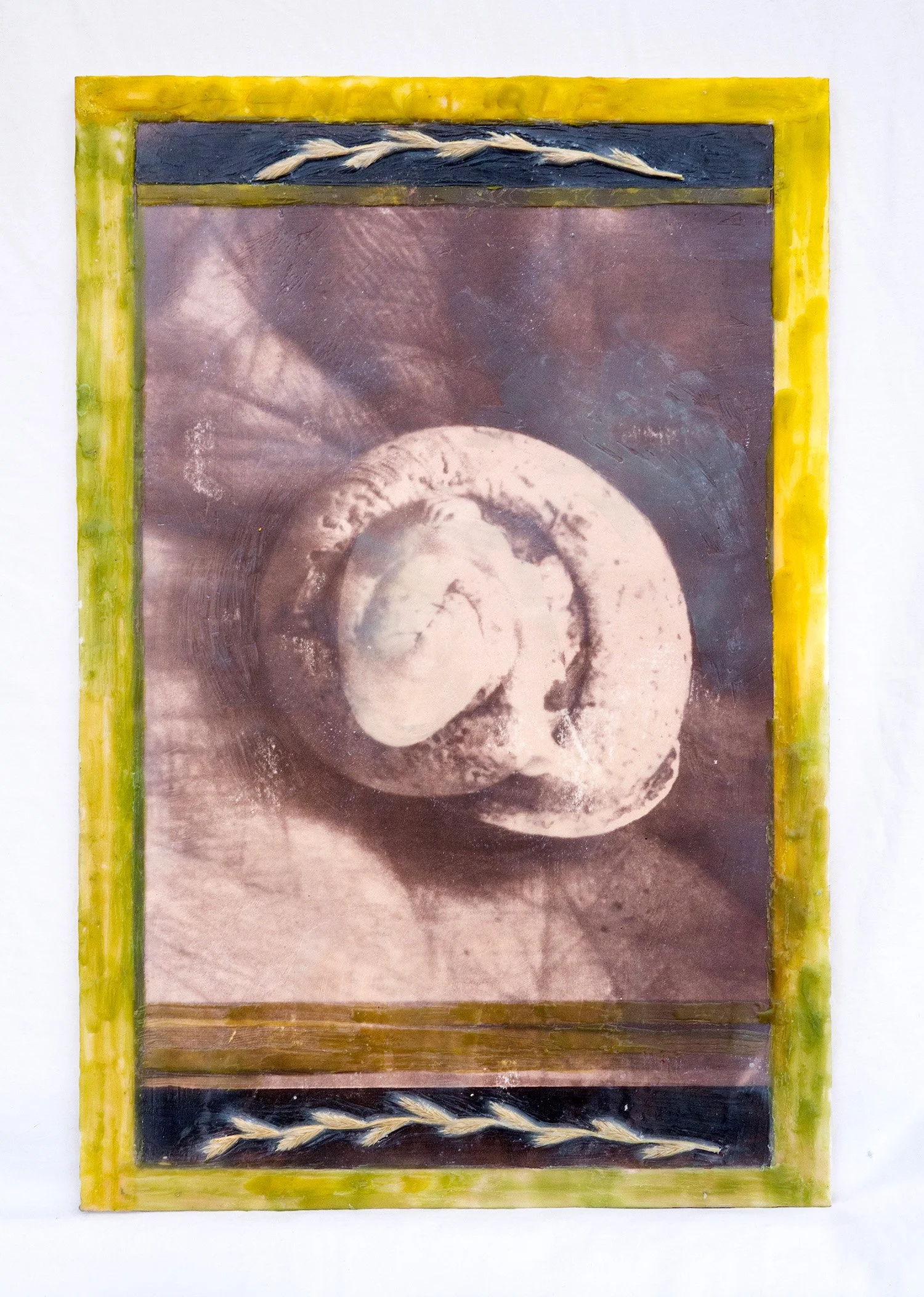 Dormancy, 10" x 15", toned cyanotype and encaustic on panel