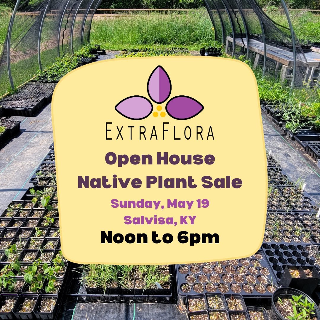 Come out to the farm for an open house event this Sunday from noon to 6pm!

 Browse an wide selection of native plants at affordable prices, many of which are of local and regional ecotype. Almost everything we grow is propagated from seed.

Our farm