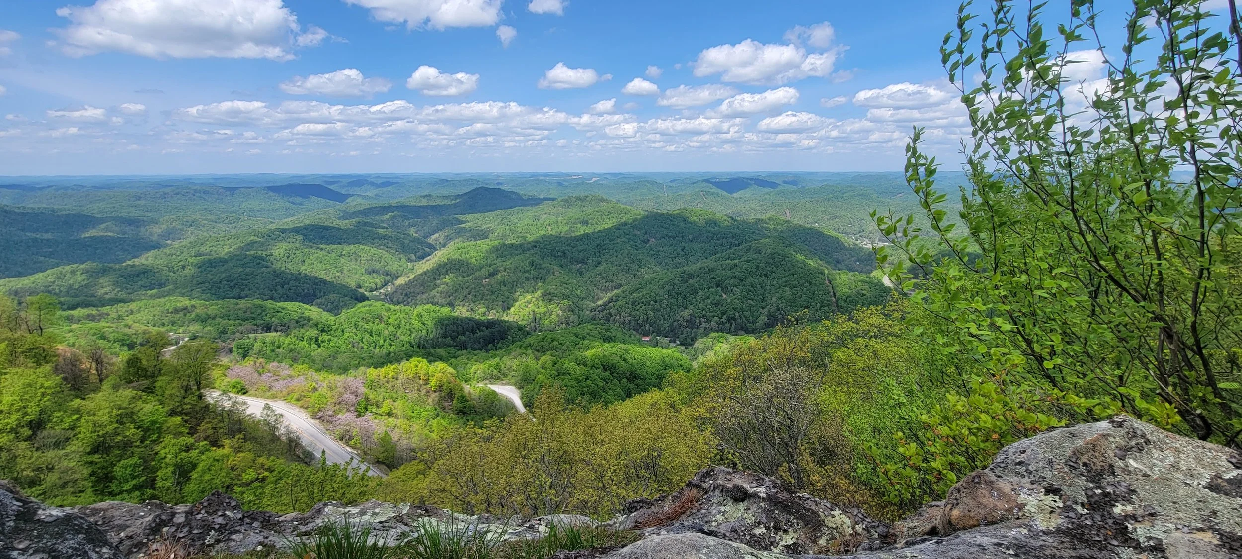 Warblers, Woodlands, Watersheds &amp; Wildlife Weekend 2026