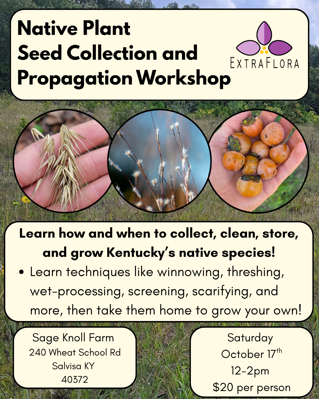 Native Plant Seed Collection & Propagation Workshop