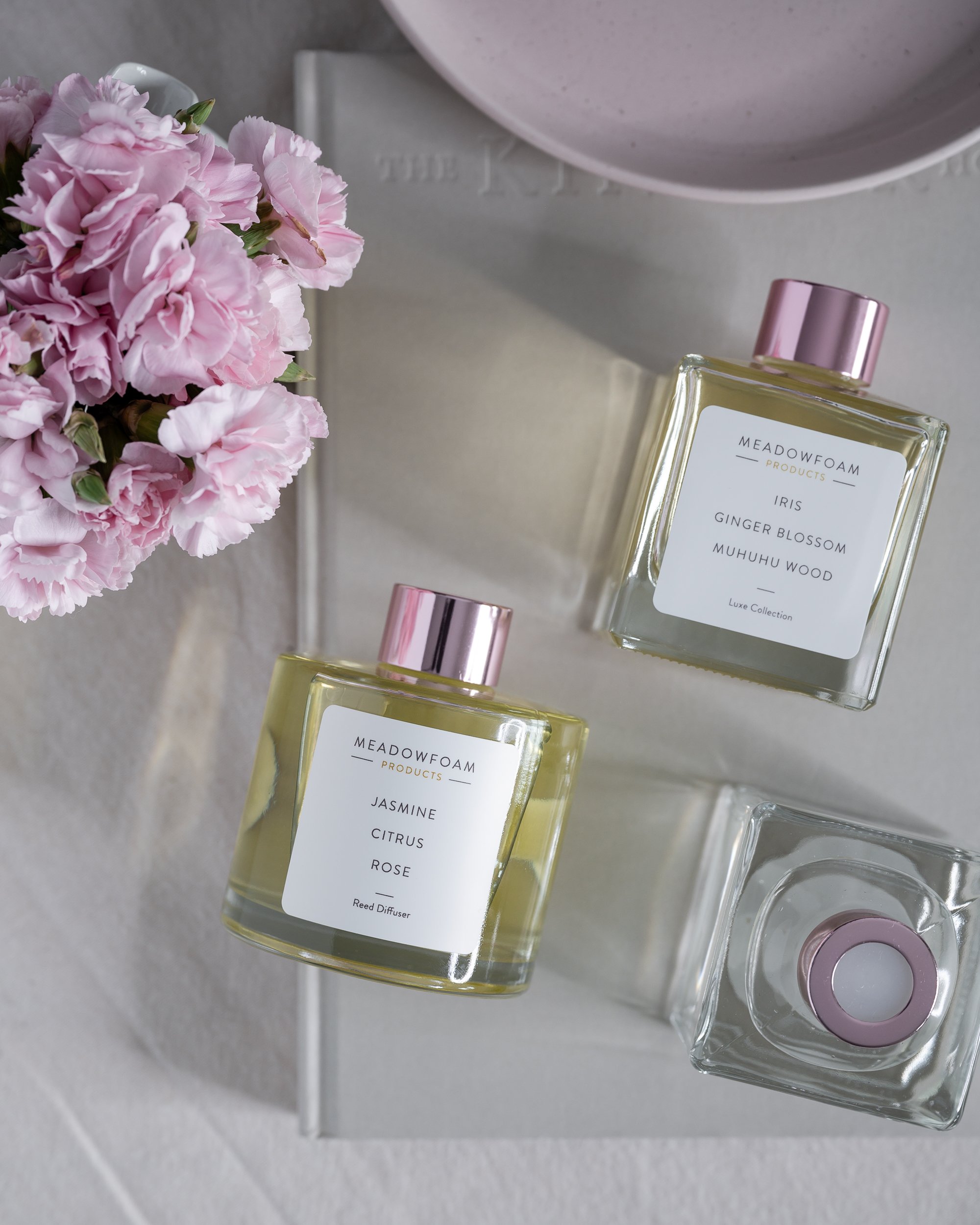 Michelle Mollinga -20230124-_MMM1498.jpg