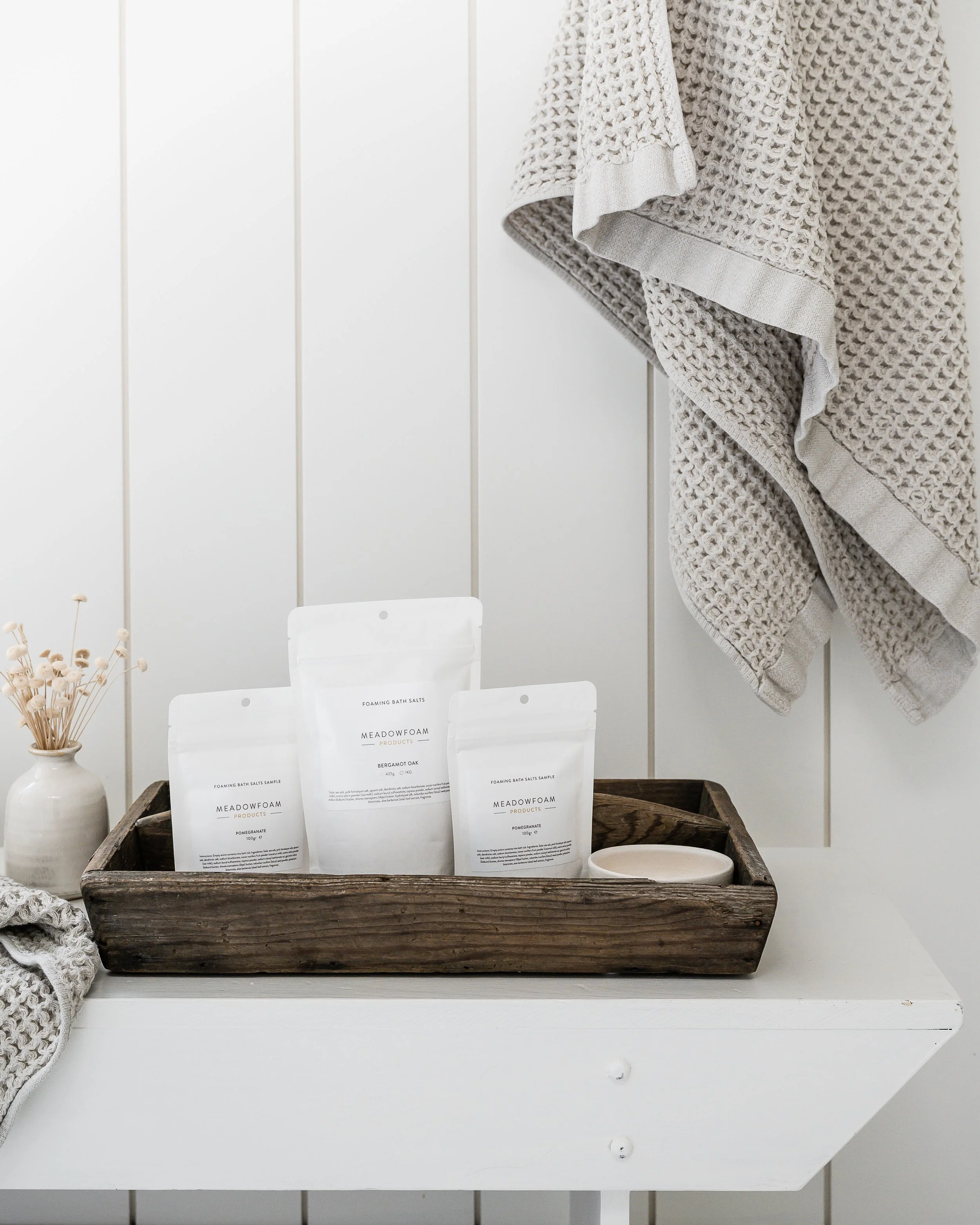 Michelle Mollinga -20230215-Michelle Mollinga -20230215-_MMM2037.jpg