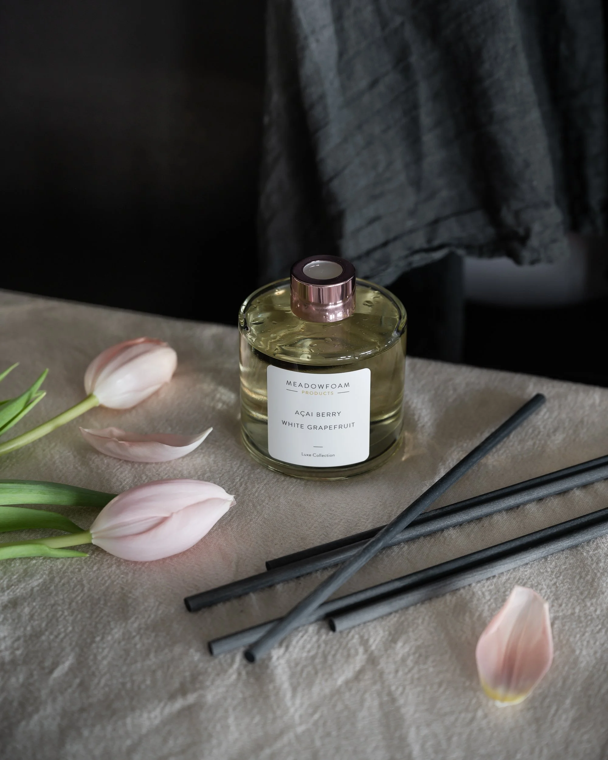 Michelle Mollinga -20230122-_MMM1490.jpg