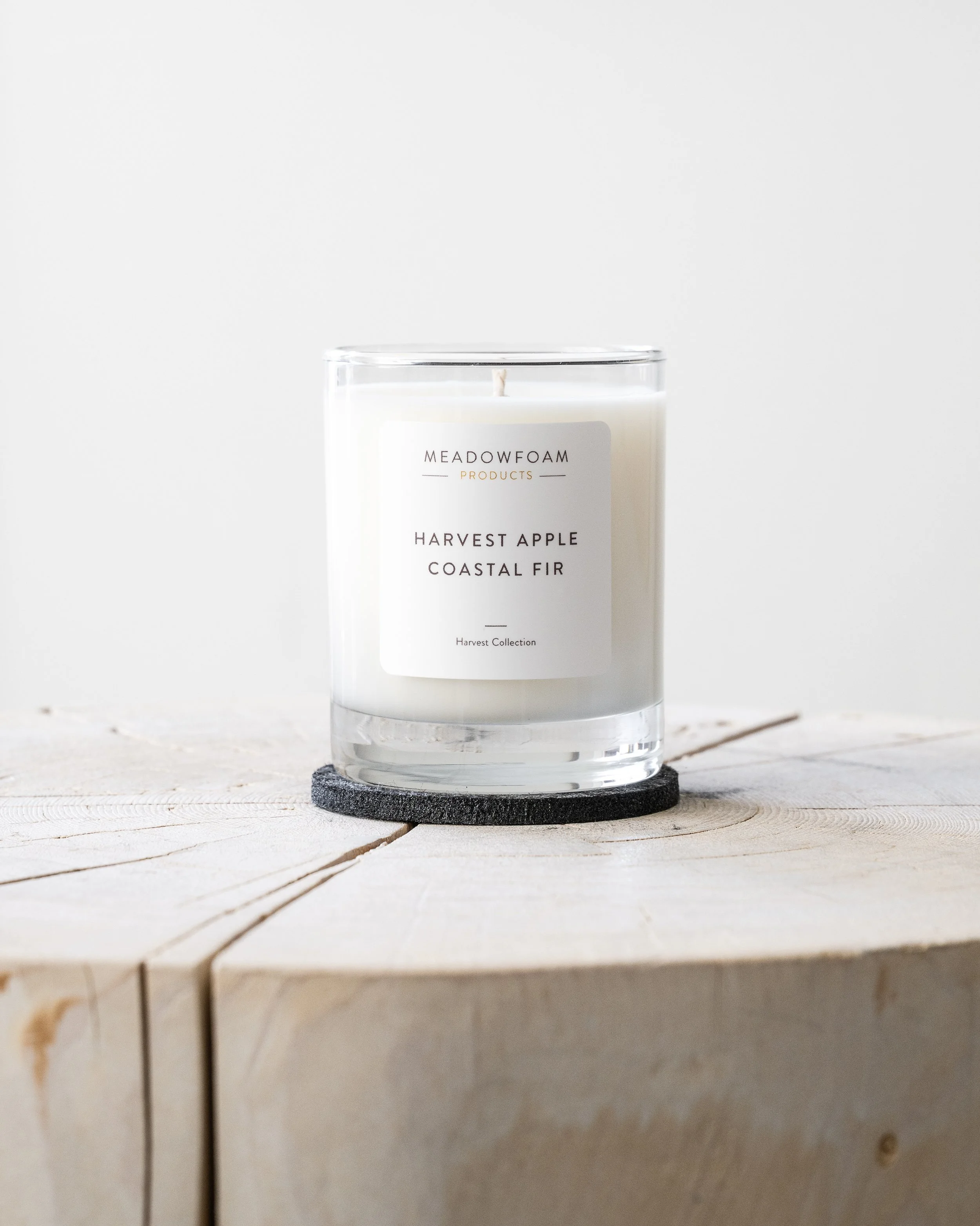 Harvest Holiday Collection 2025 Product Shot.jpg