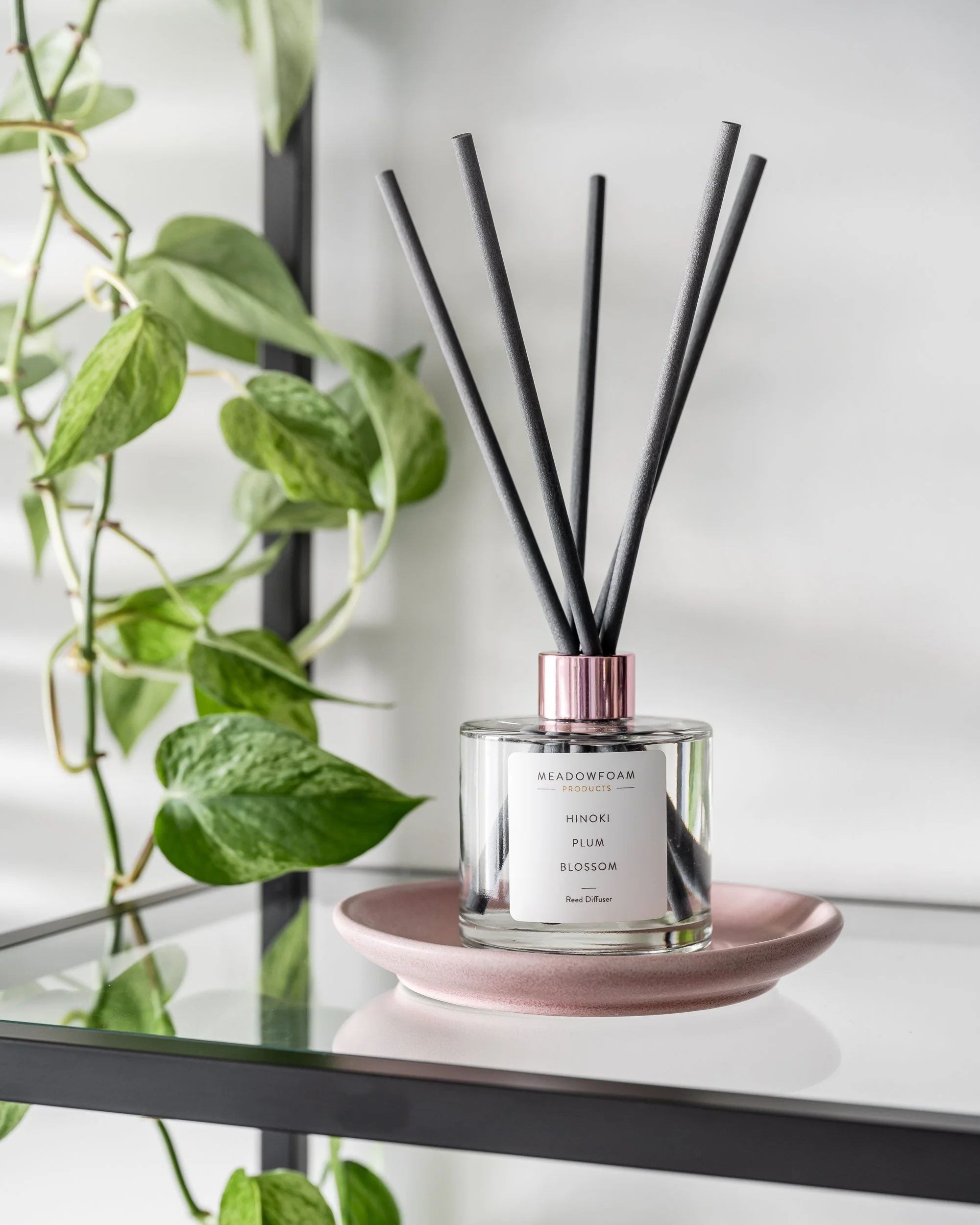 Michelle Mollinga -20230114-_MMM1371.jpg