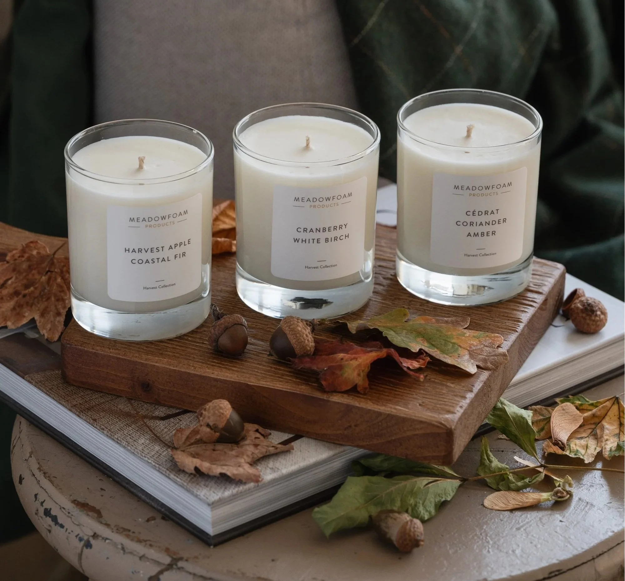 Harvest+Collection+Lifestyle+2025+MMM3966.jpg