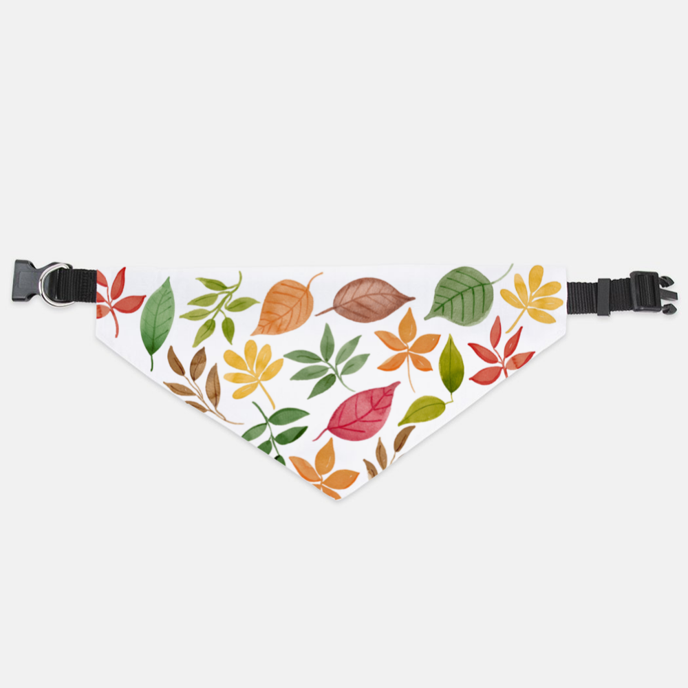 Fall in Love Dog Bandana with Collar