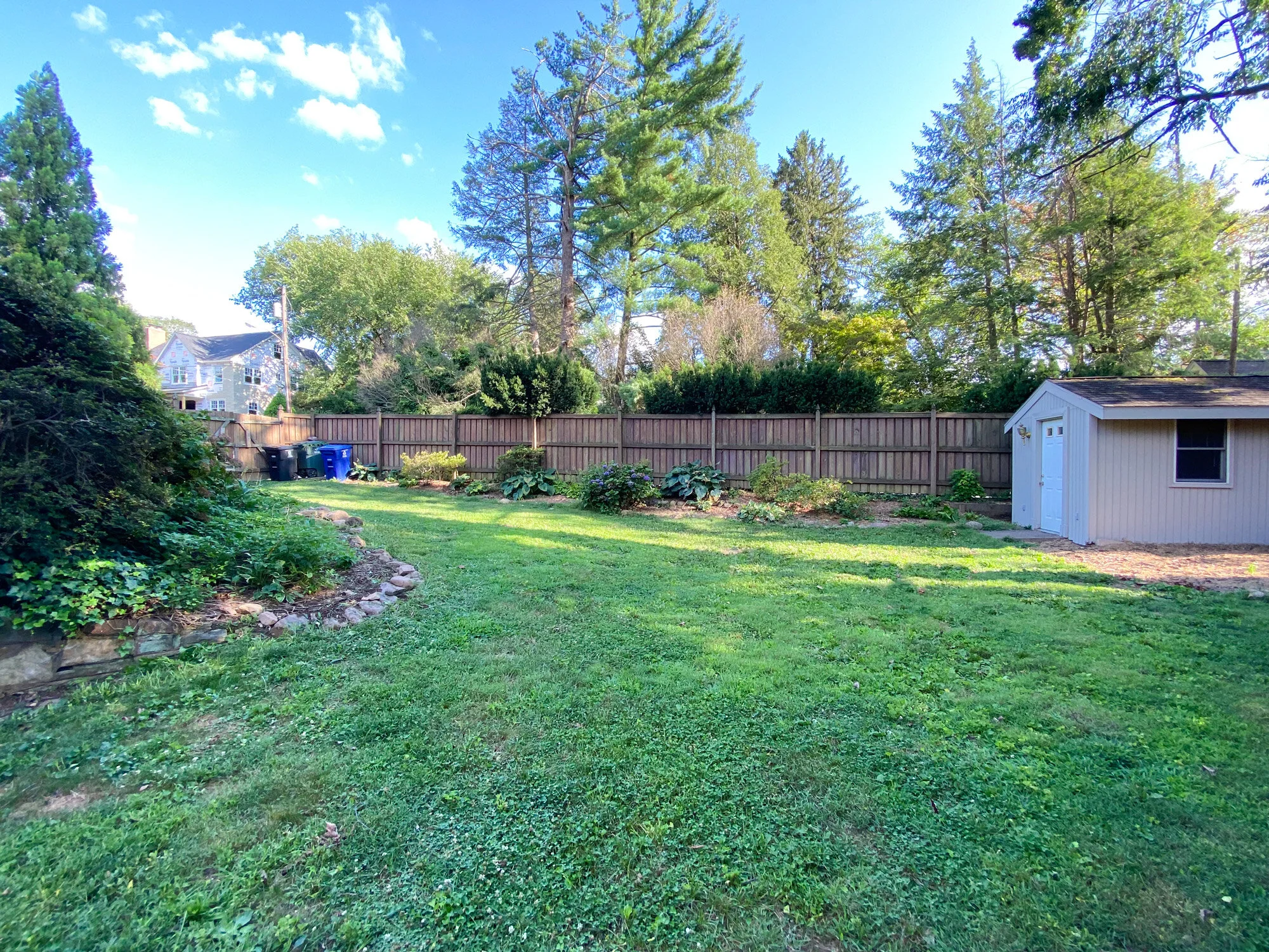 harrison-street-backyard-shed.jpg