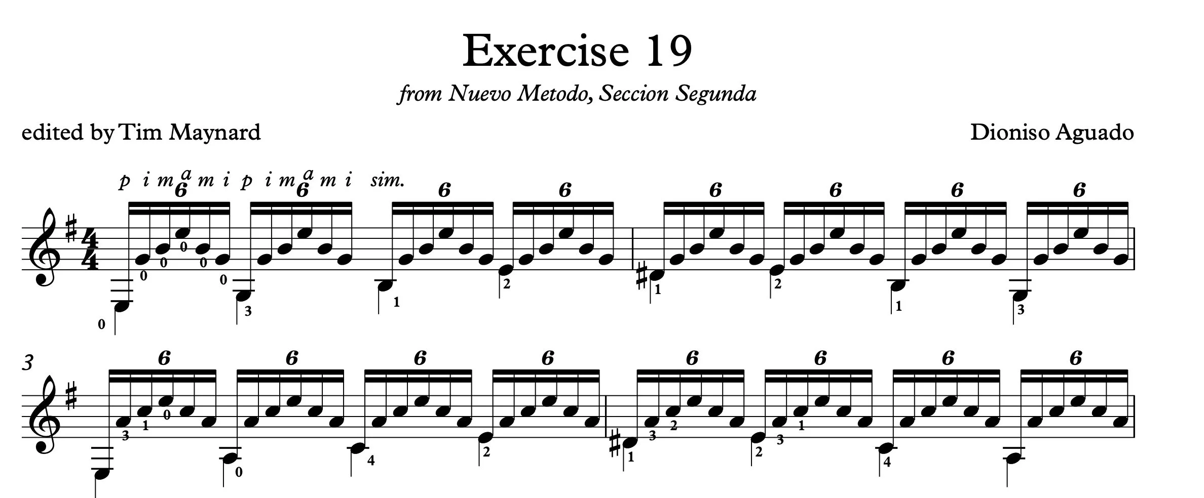 Ex19_aguado.jpg