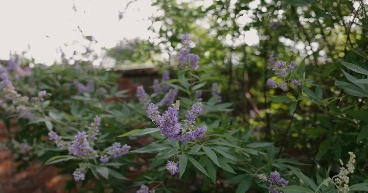 Postcards from Gracie + Guices wedding day💌

#wedding #weddingvideography #weddingreels #mississippi #tennessee #weddingreels #smallbusiness #weddingfilm #weddingfilmmaker #weddingvideographer #videography #cinematic #trending #mississippiweddingvid