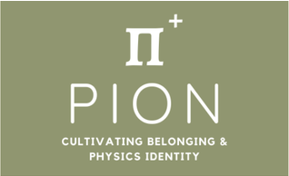 PION project logo