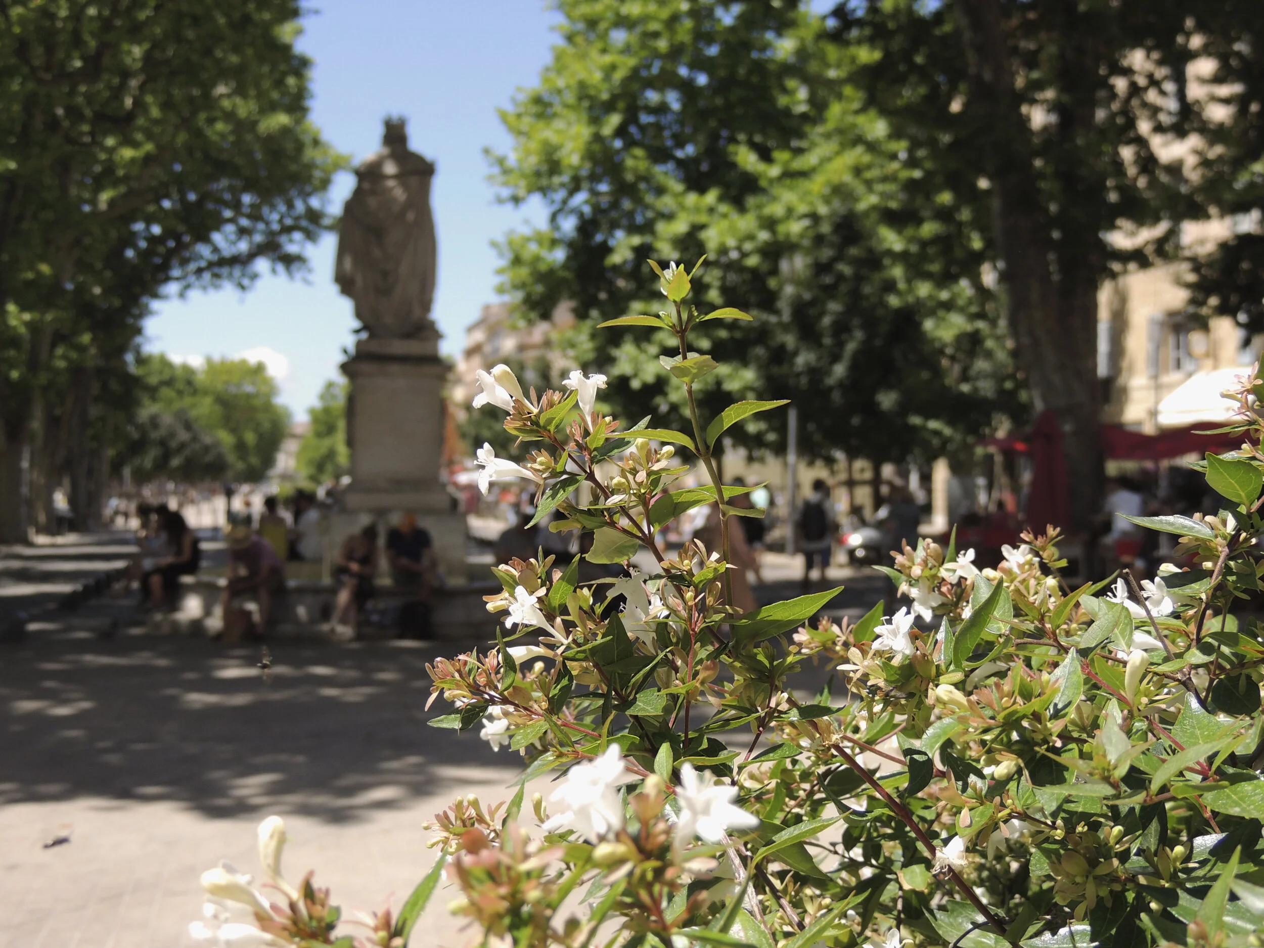 flowers by fountain max.jpg